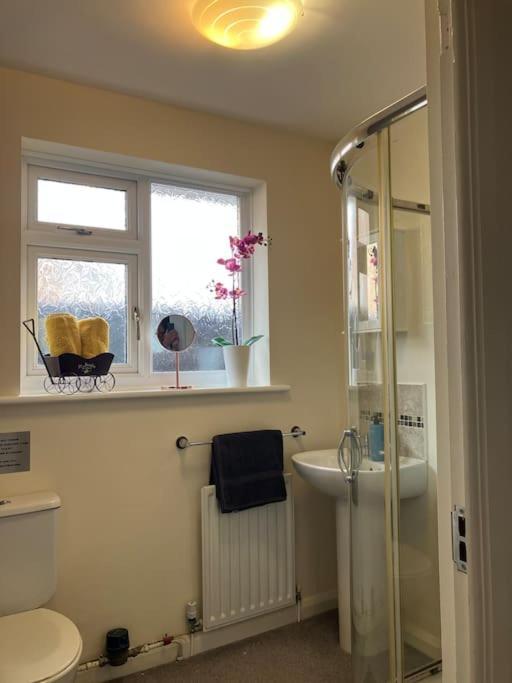 Ogilvie Lodge Llandudno Junction Εξωτερικό φωτογραφία