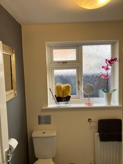 Ogilvie Lodge Llandudno Junction Εξωτερικό φωτογραφία